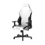 DXRacer Drifting Series 2025 L Gaming Chair - Image 4